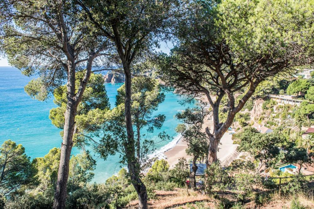 Camping Sunissim Cala Llevado 4 By Locatour Ξενοδοχείο Τόσα ντε Μαρ Εξωτερικό φωτογραφία